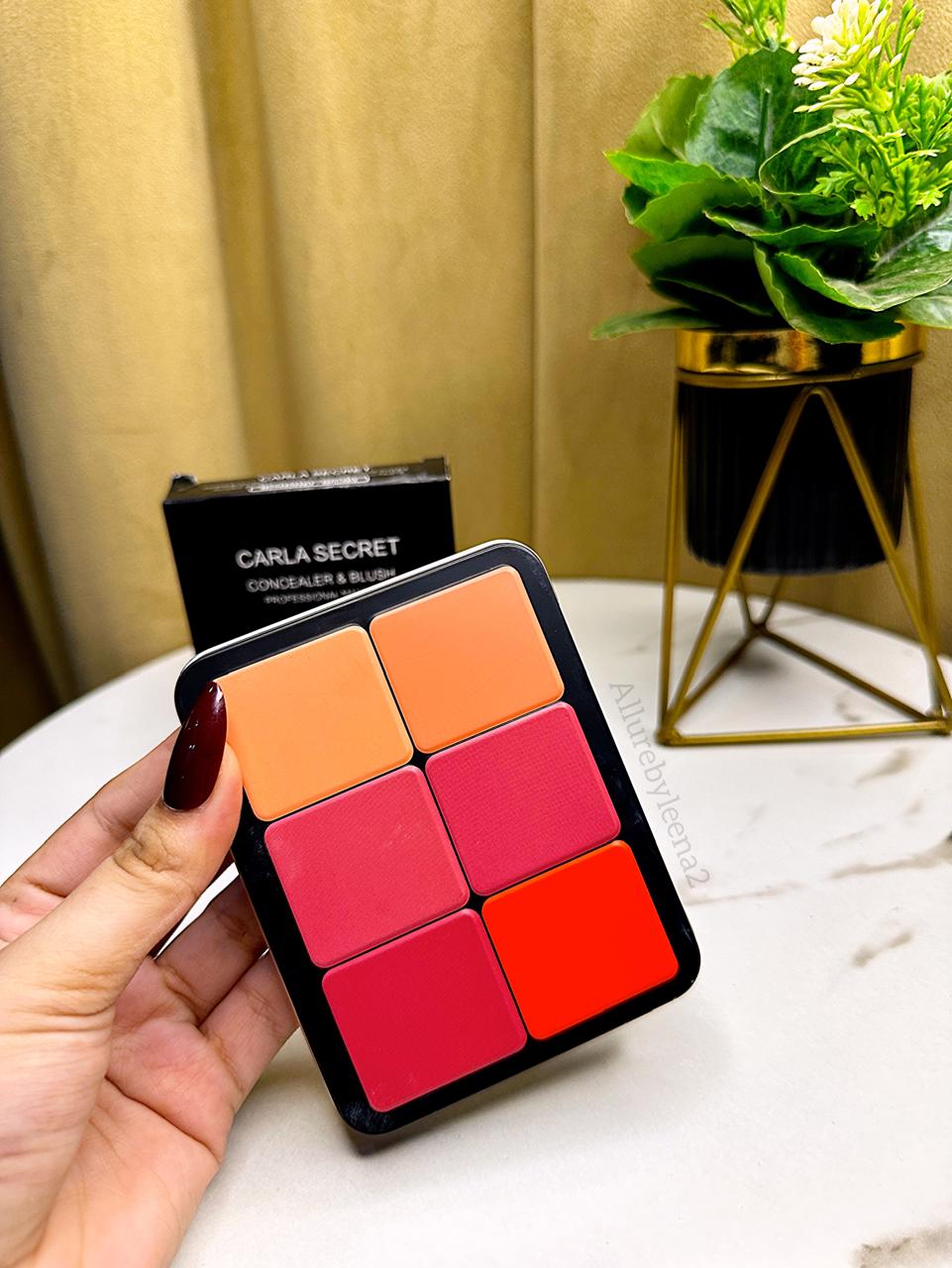 CARLA SECRET Concealer & Blush Palette