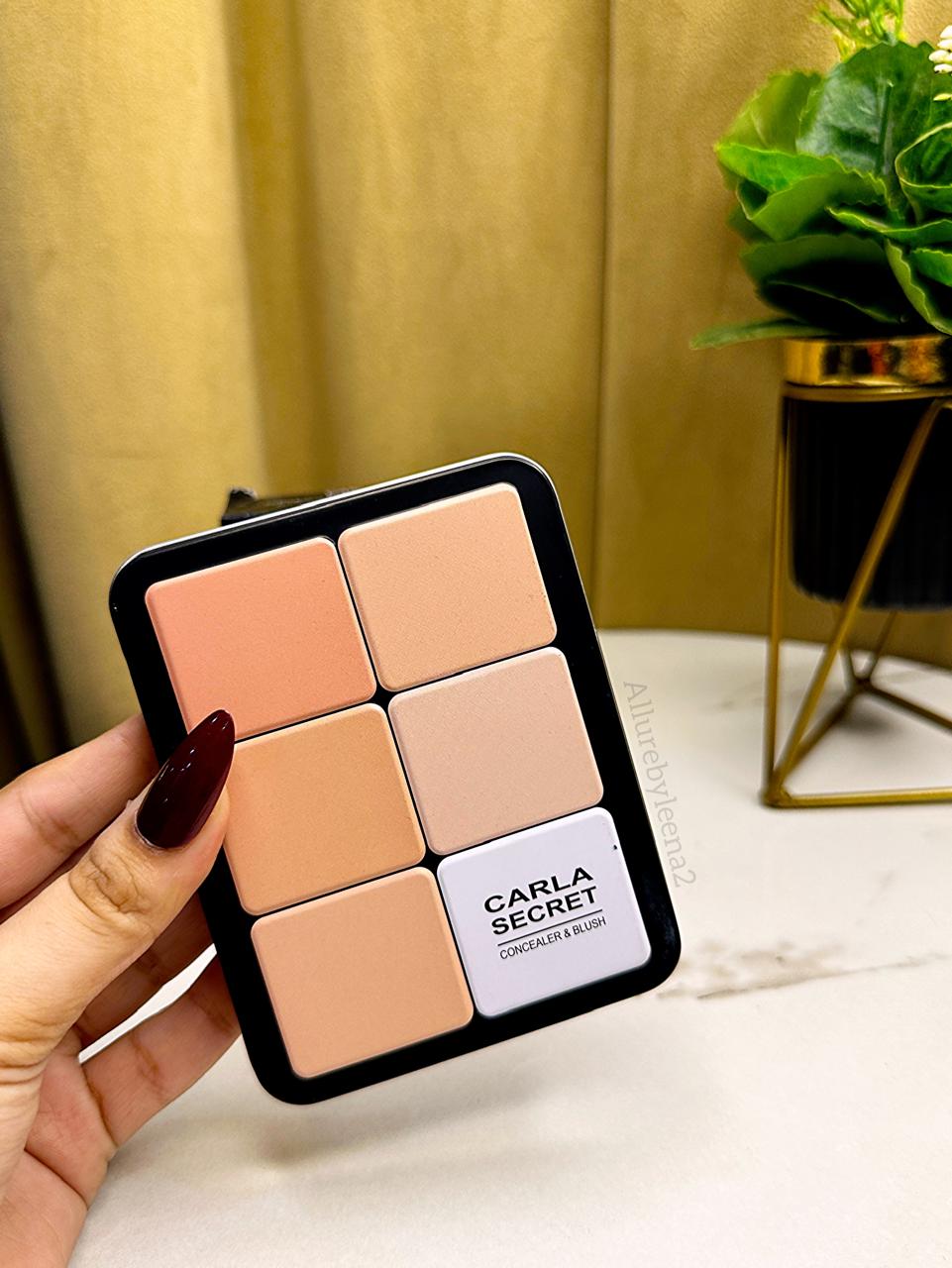 CARLA SECRET Concealer & Blush Palette